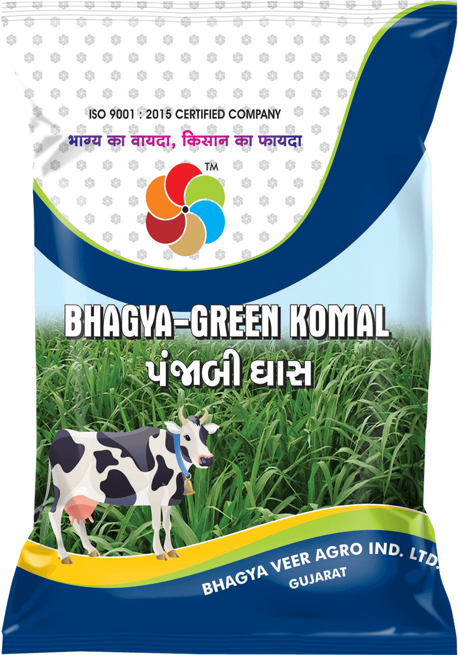 Bhagyaveer Bhagya Green Komal ( Punjabi Ghass )