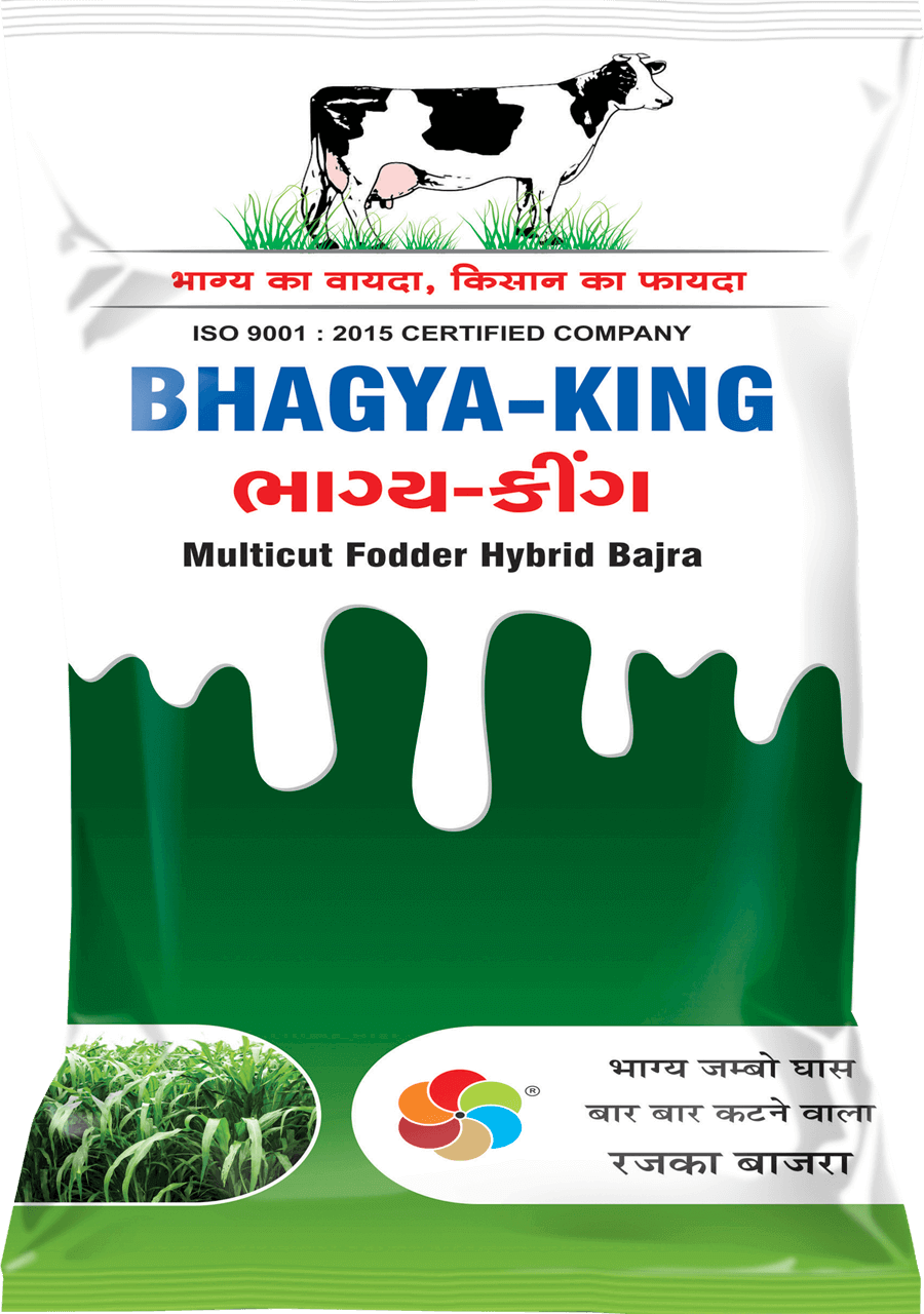 Bhagyaveer Bhagya King ( Multicut Bajra )