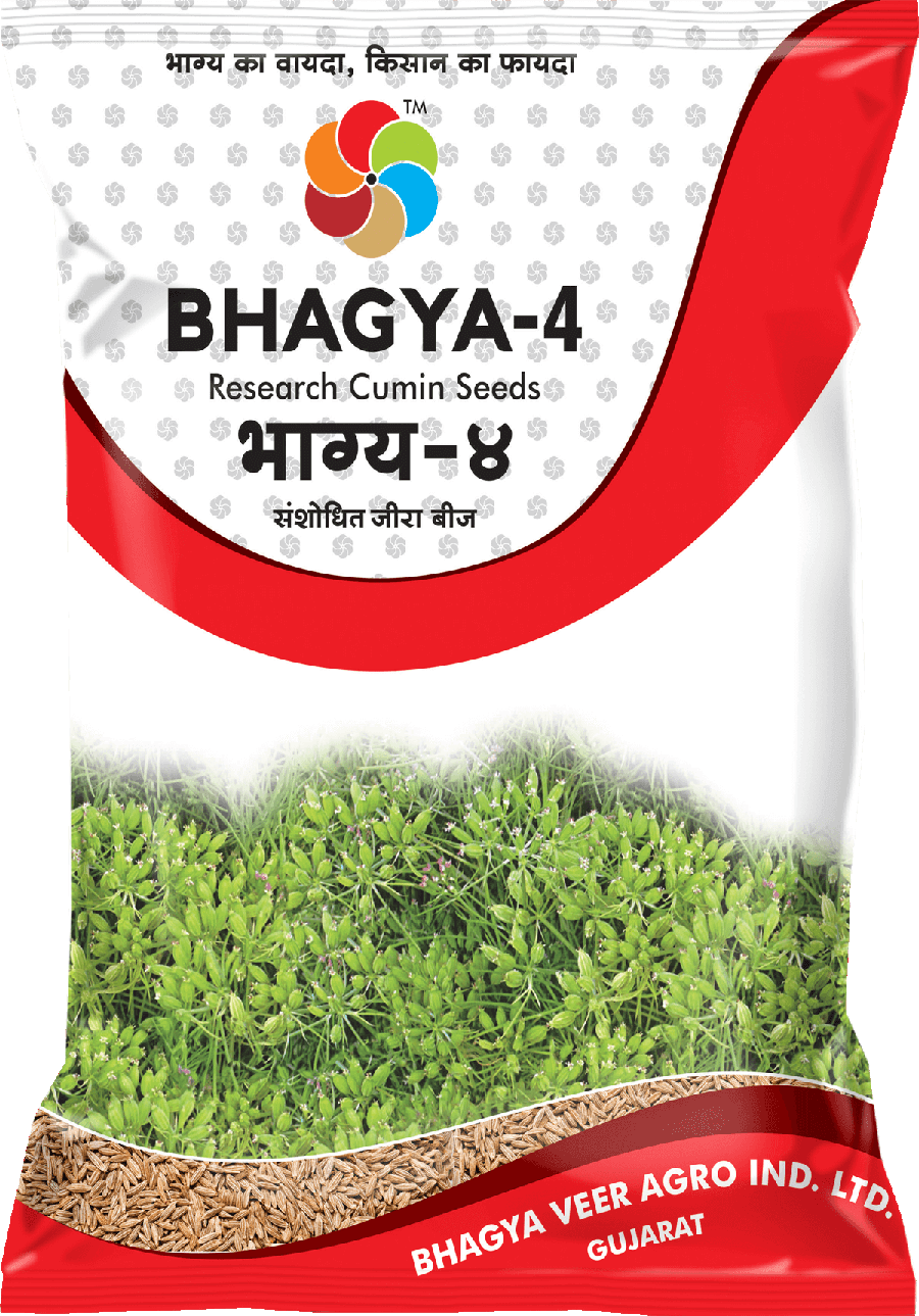 Bhagyaveer Bhagya 4 ( Cumin Seed )