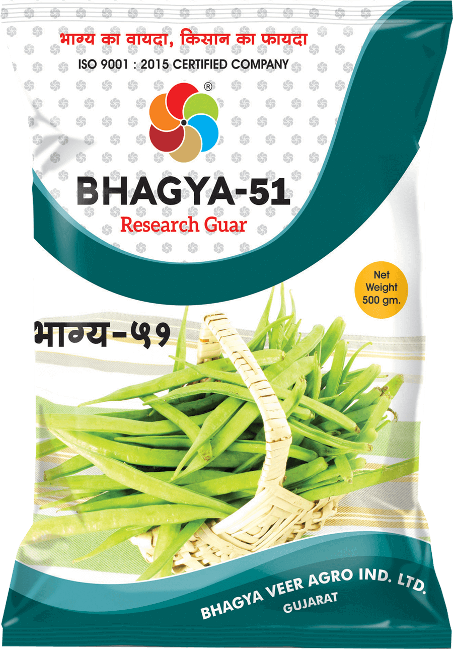 Bhagyaveer Bhagya 51 ( Research Guar )