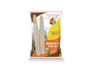 Bhagya-75 (Hy.Bajra)