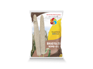 Bhagya-20 (Hy. Bajra)